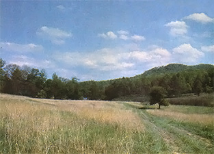 
Open space like this has many potential uses. 

